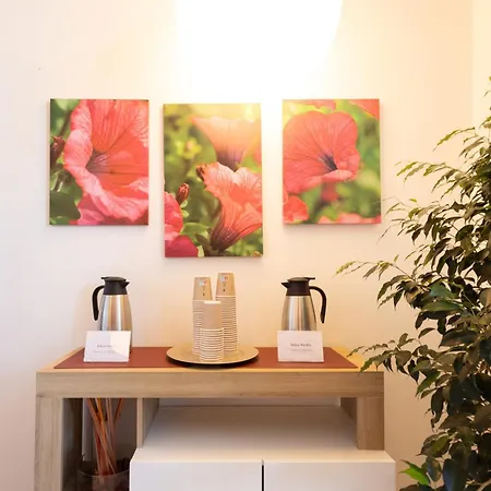 Konukevi San Luigi - Residenza Gemelli Roma